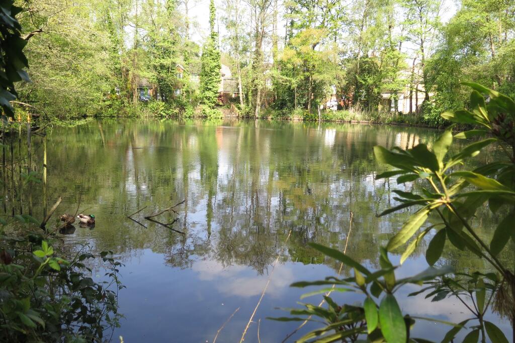 Nearby Blackmoor Pond