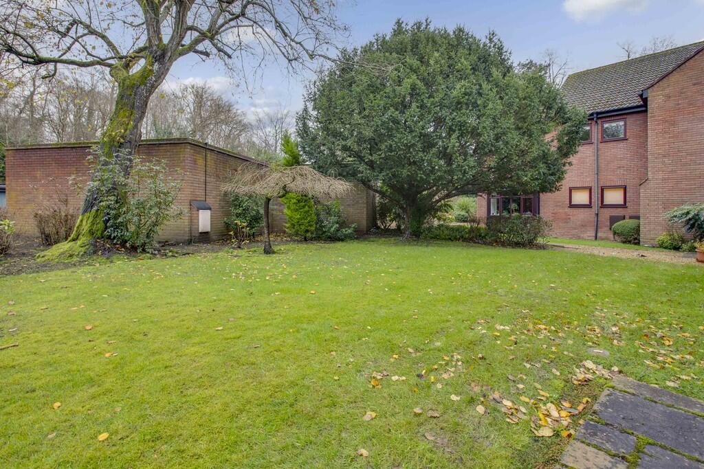 Garden 1