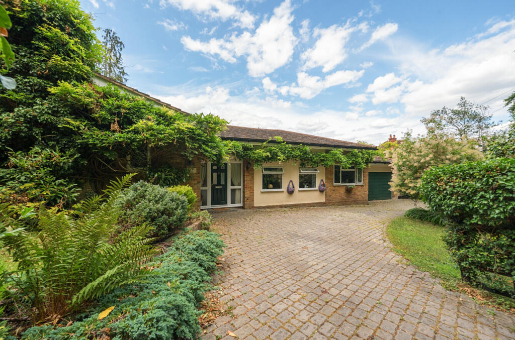 1313636-3-6866905...