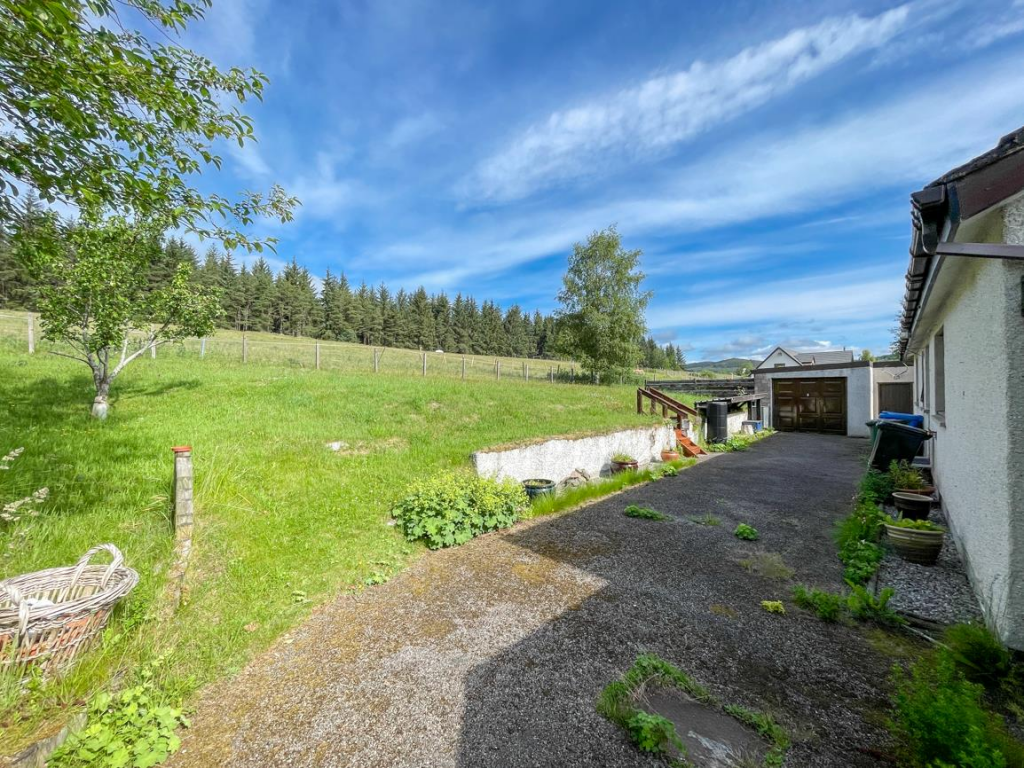 Rear Driveway &amp; Garden