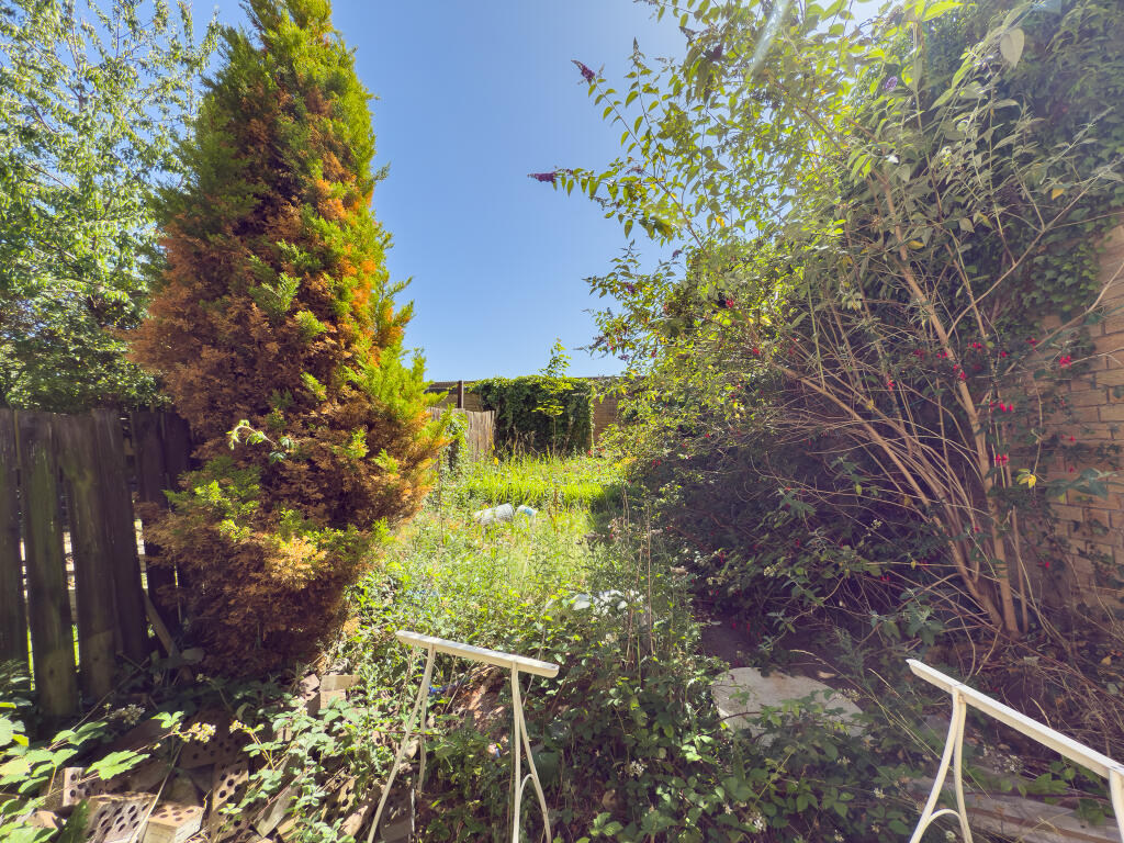 IMG 0233 2 T202507031055.jpg