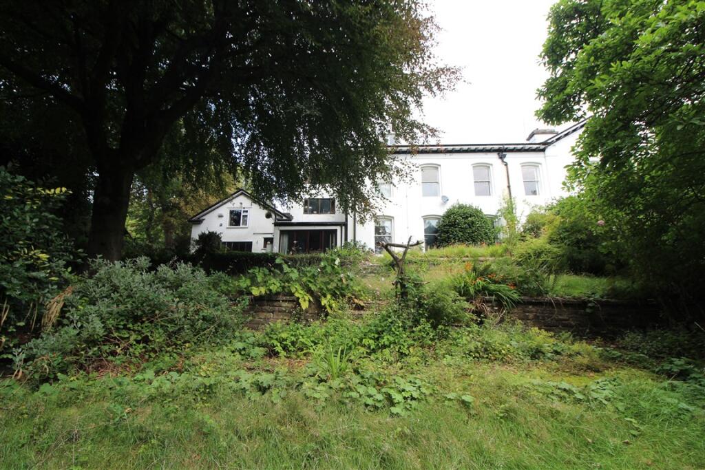 Garden 4 T202508221635.jpg