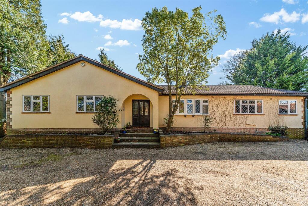 WILMOT WAY, THE SQUIRRELS- (23).jpg