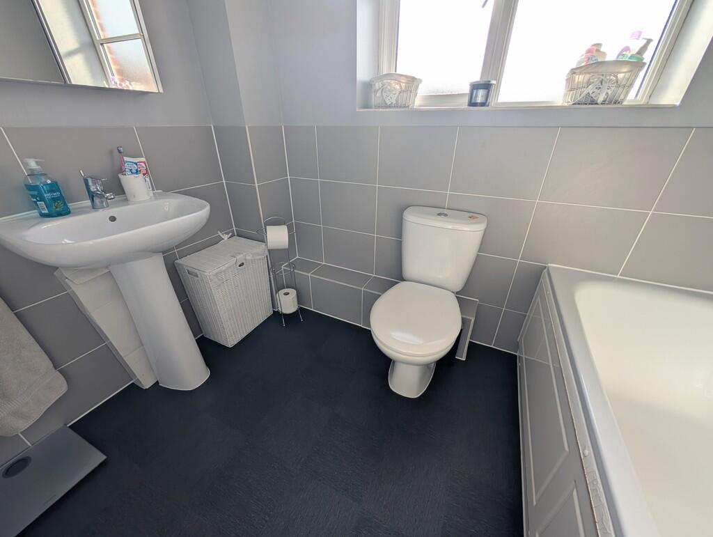 PXL_20241016_1012...