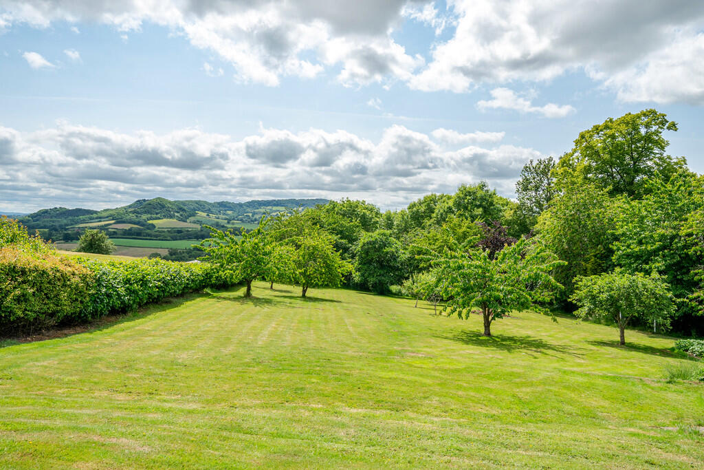 1302462-7-68483c8...