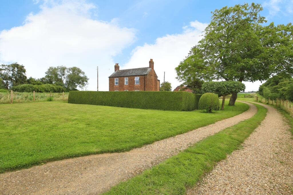 image 17