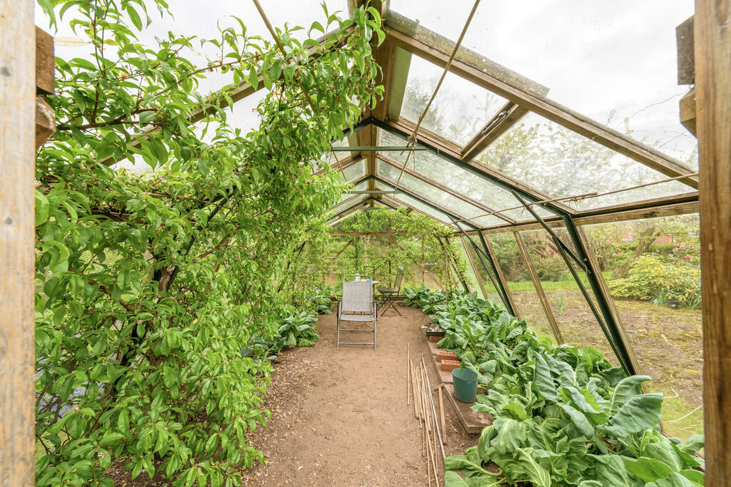 Greenhouse