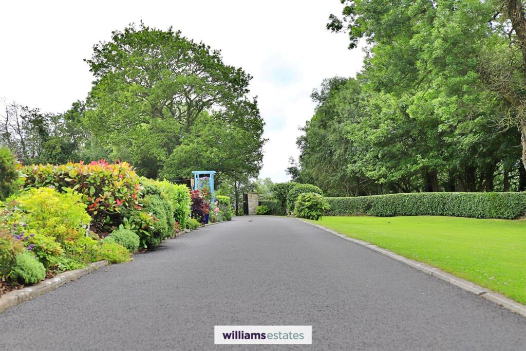 Driveway