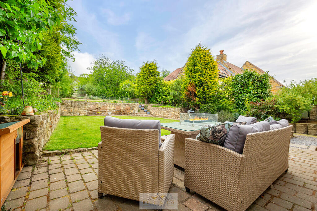 Back garden 1.1