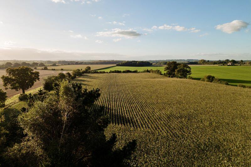 Views over adjoining countryside