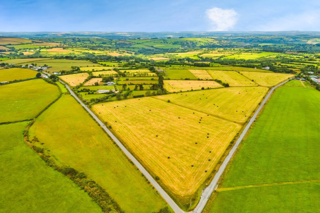 Agricultural Holding