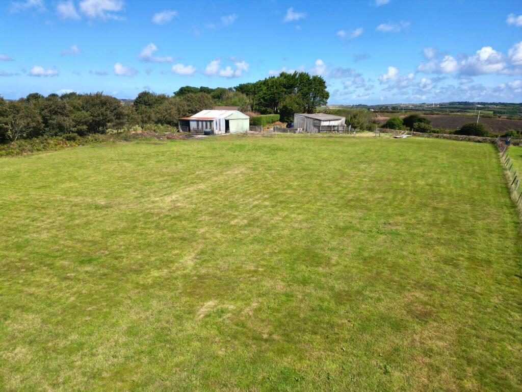 Paddock/Land