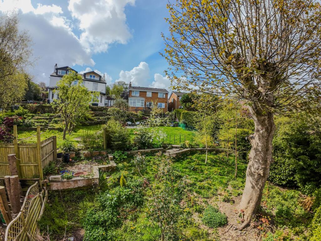 Rear Garden - Wilding Area