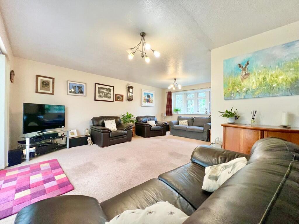 WhatsApp Image 20...