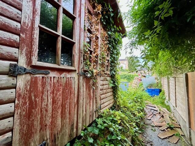 Garden 2 T202509221419.jpg