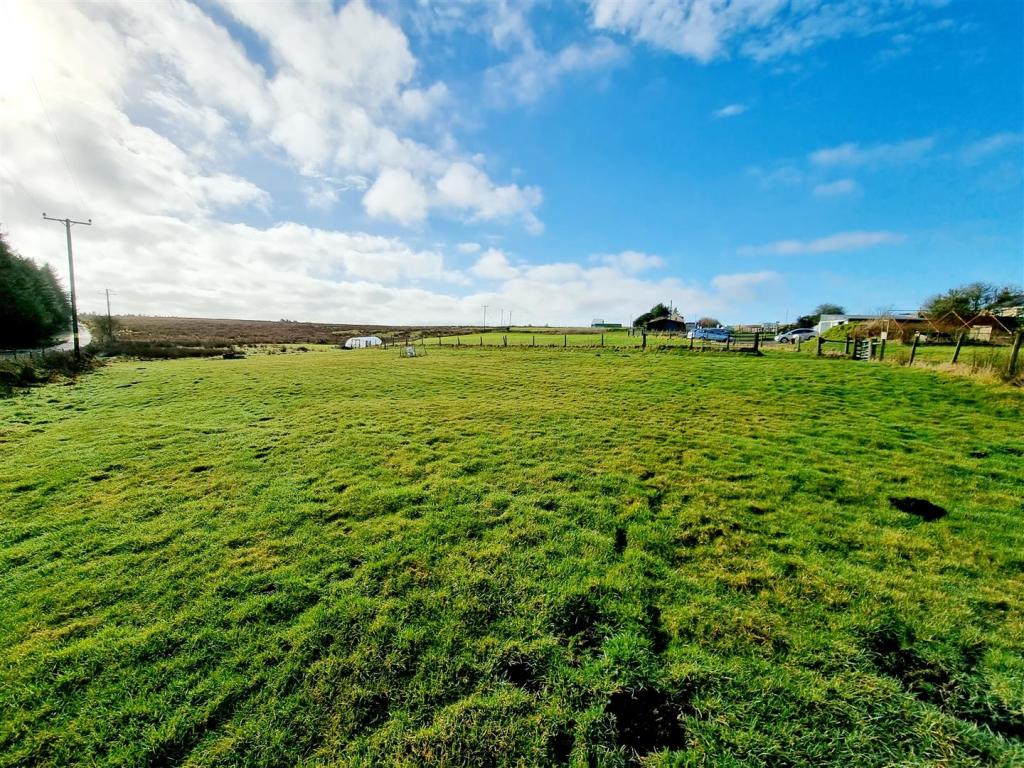 Bottom Field