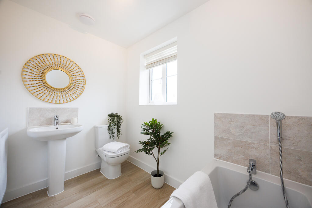 VDSW BH SPRUCE SH (48)