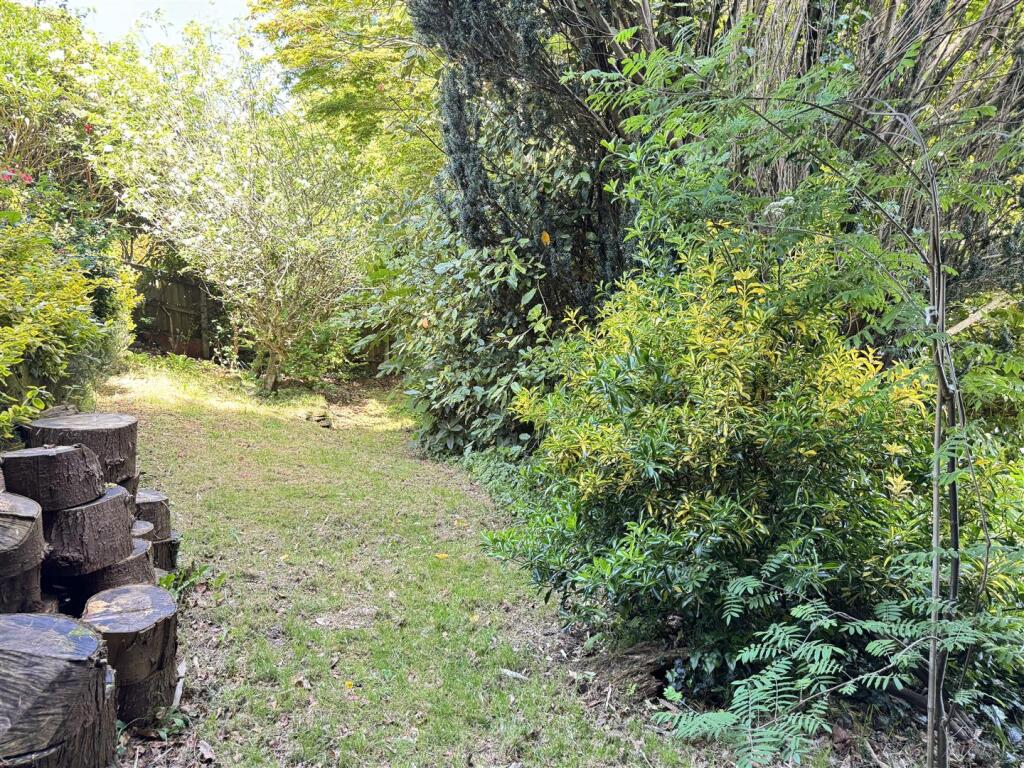 Lower Rear Garden