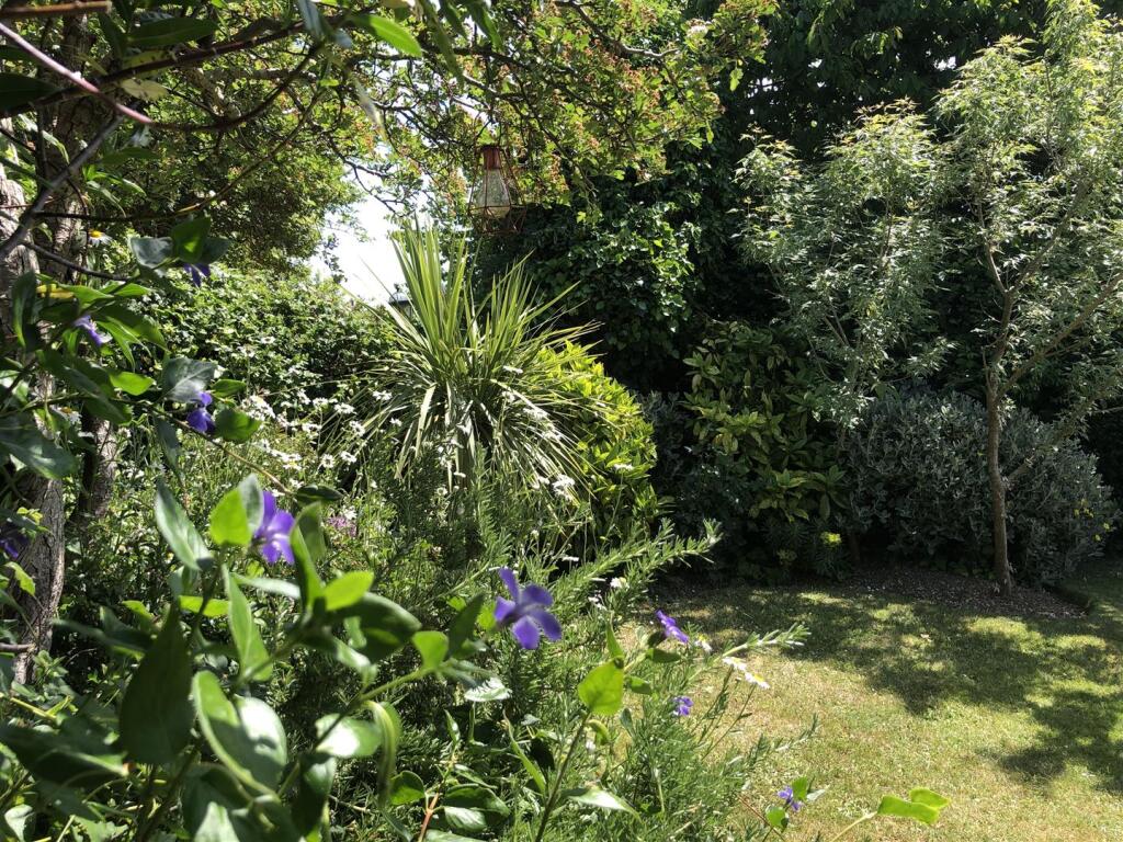 Garden 5.jpeg