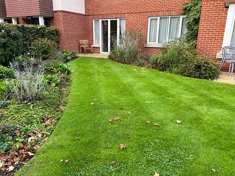 Lawn looking towards patio
