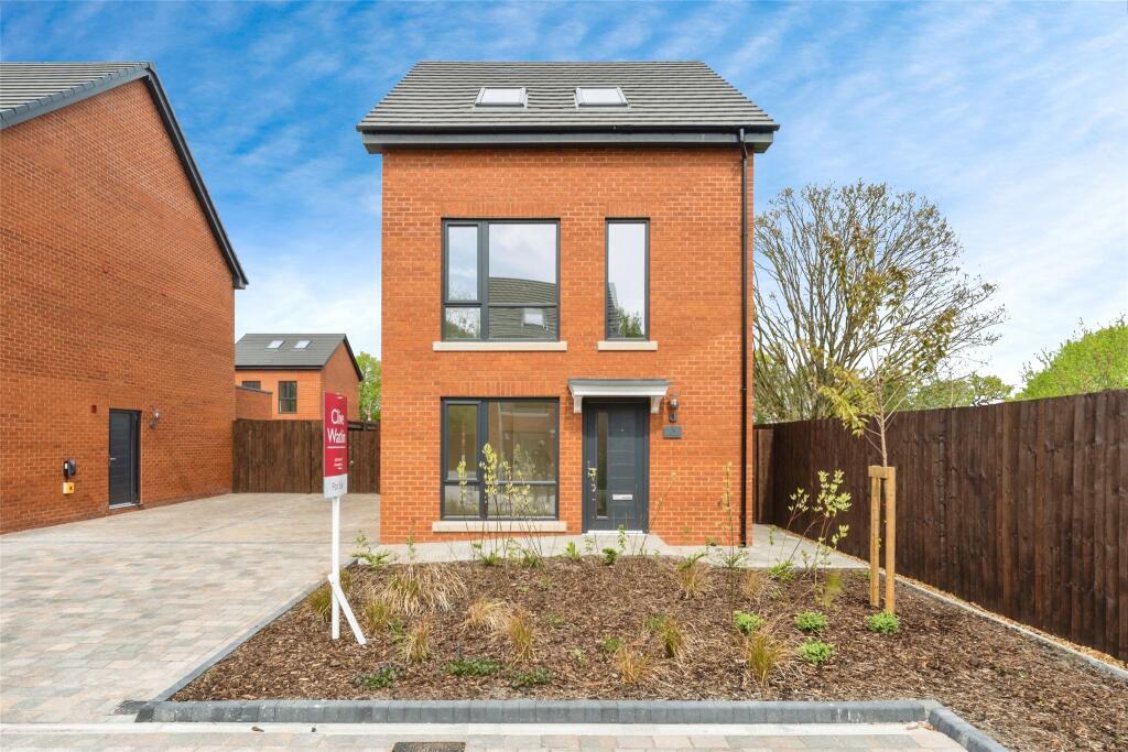 Plot 5