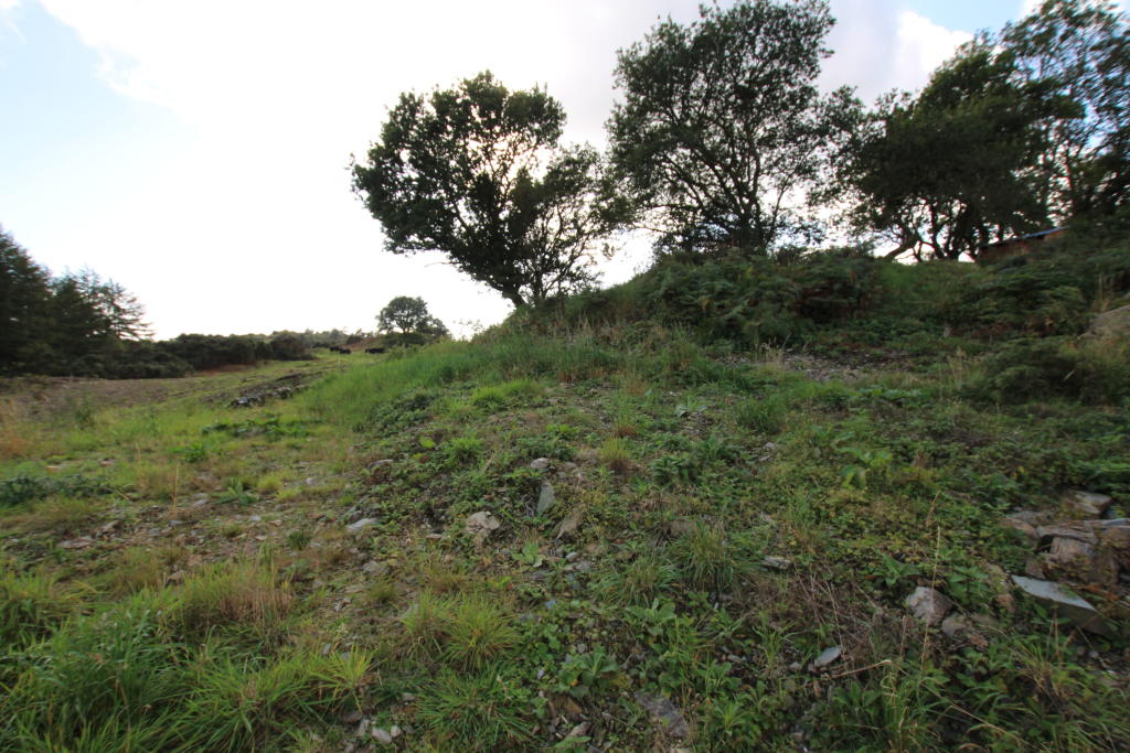 Plot 34 Bracken Wood - Williamson and Henry