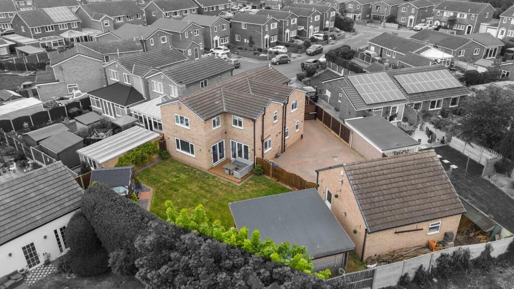 2025-05-08 13.56.52-1.jpg