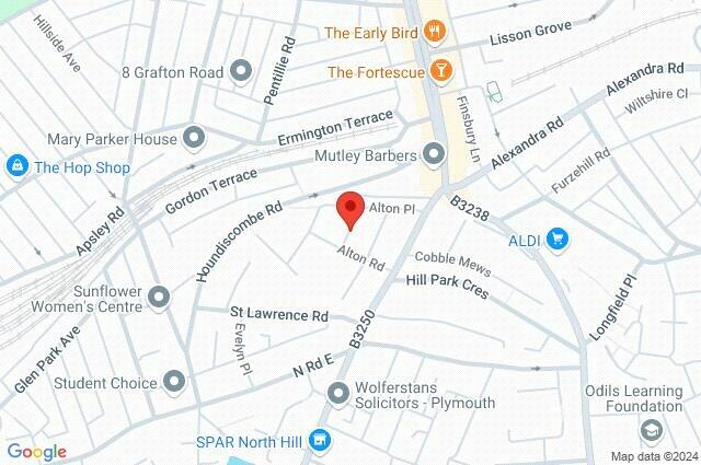 Google Maps Image
