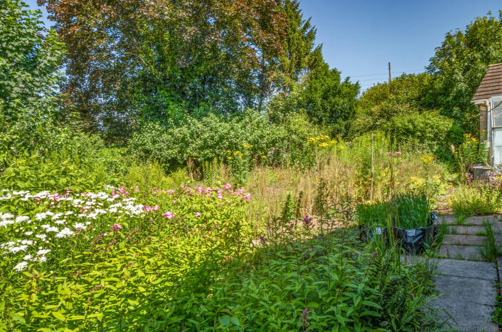 Green Meadows