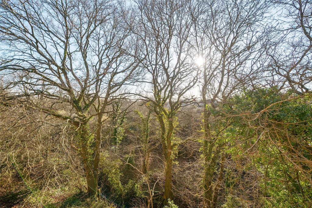Nature Reserve