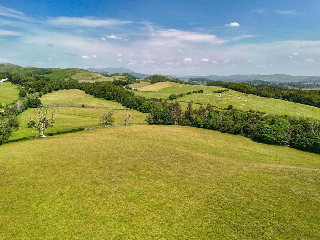 DJI_20250611134039_0823_D (1).jpg