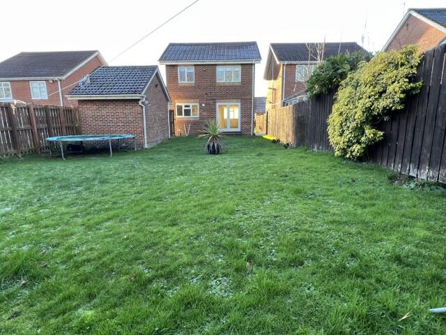 17Willow