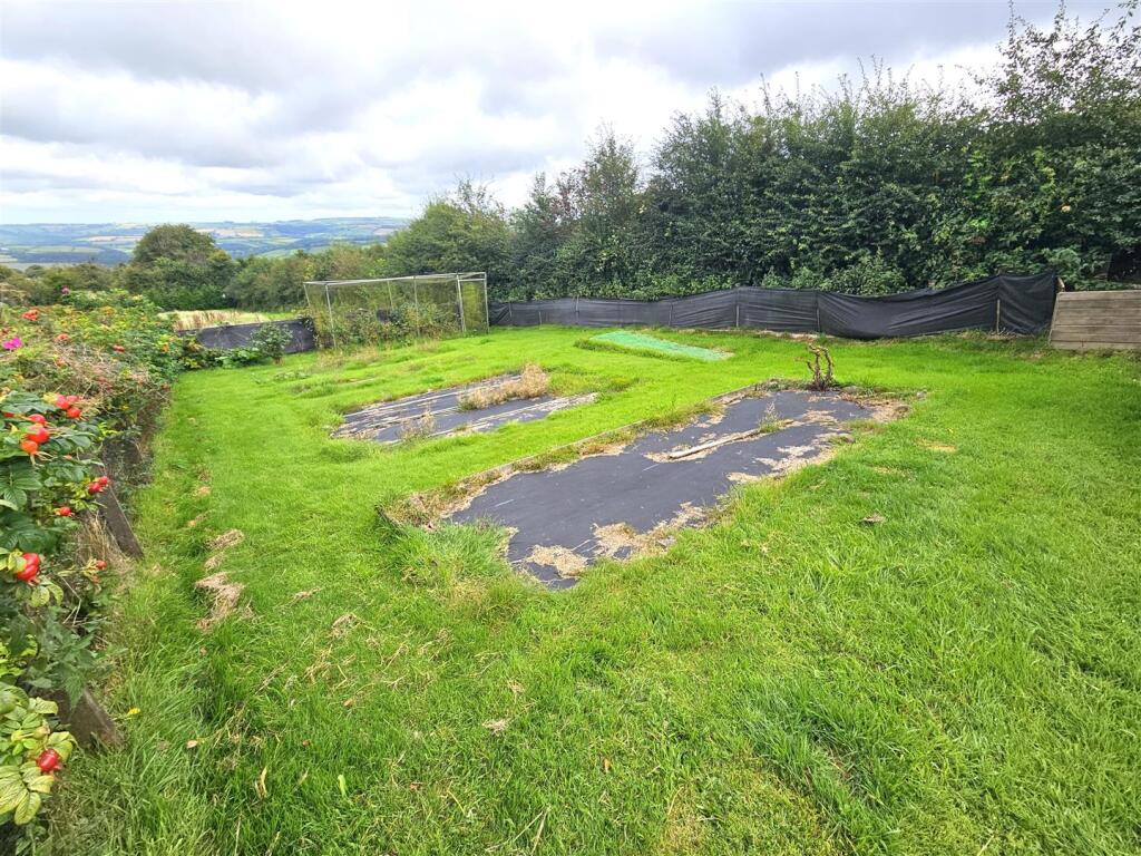 Vegetable Plot.jpg