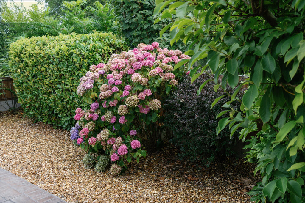 17 Bingley Drive0014