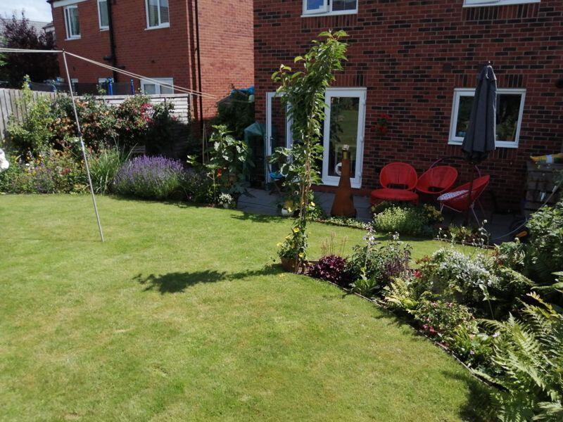 Rear Elevation 2