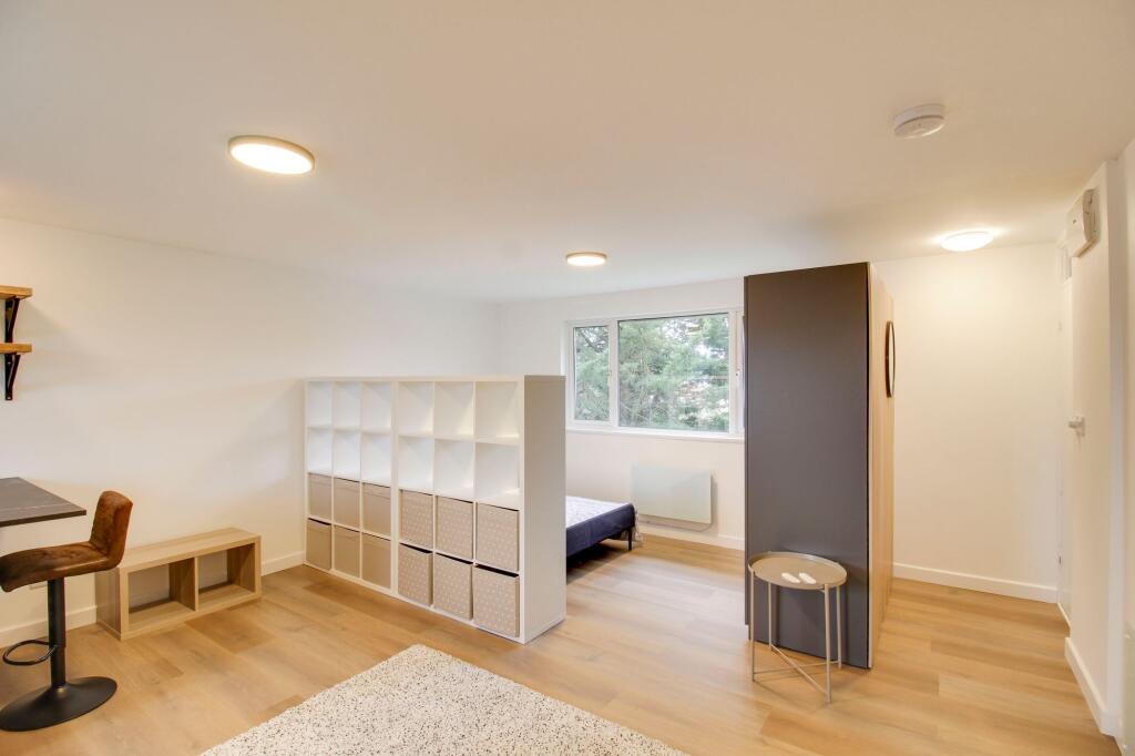 Living / Bedroom Area