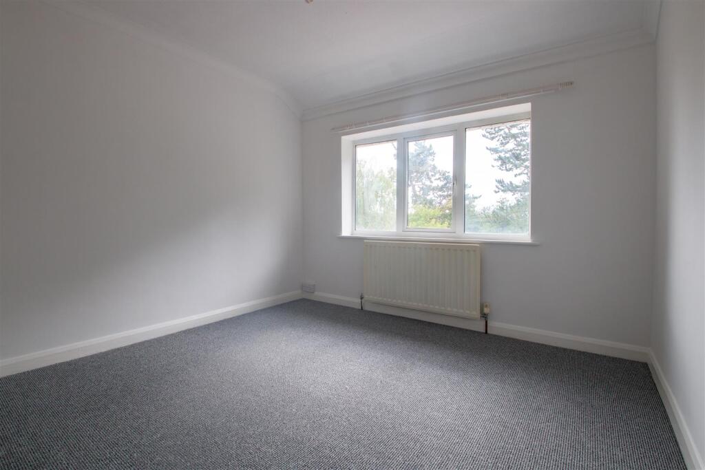 123cott1_8.jpg
