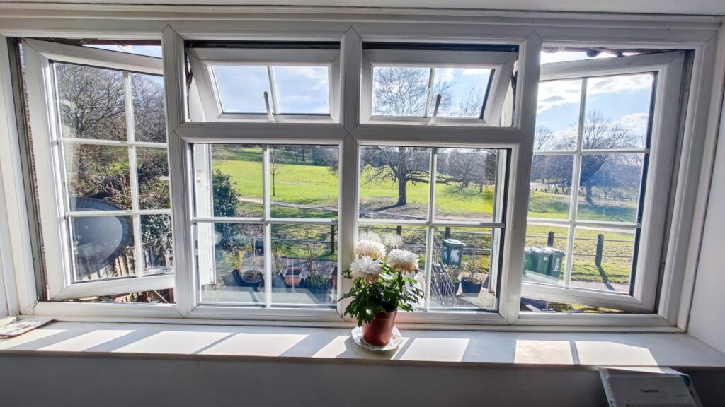 IMG_20250315_152715-2