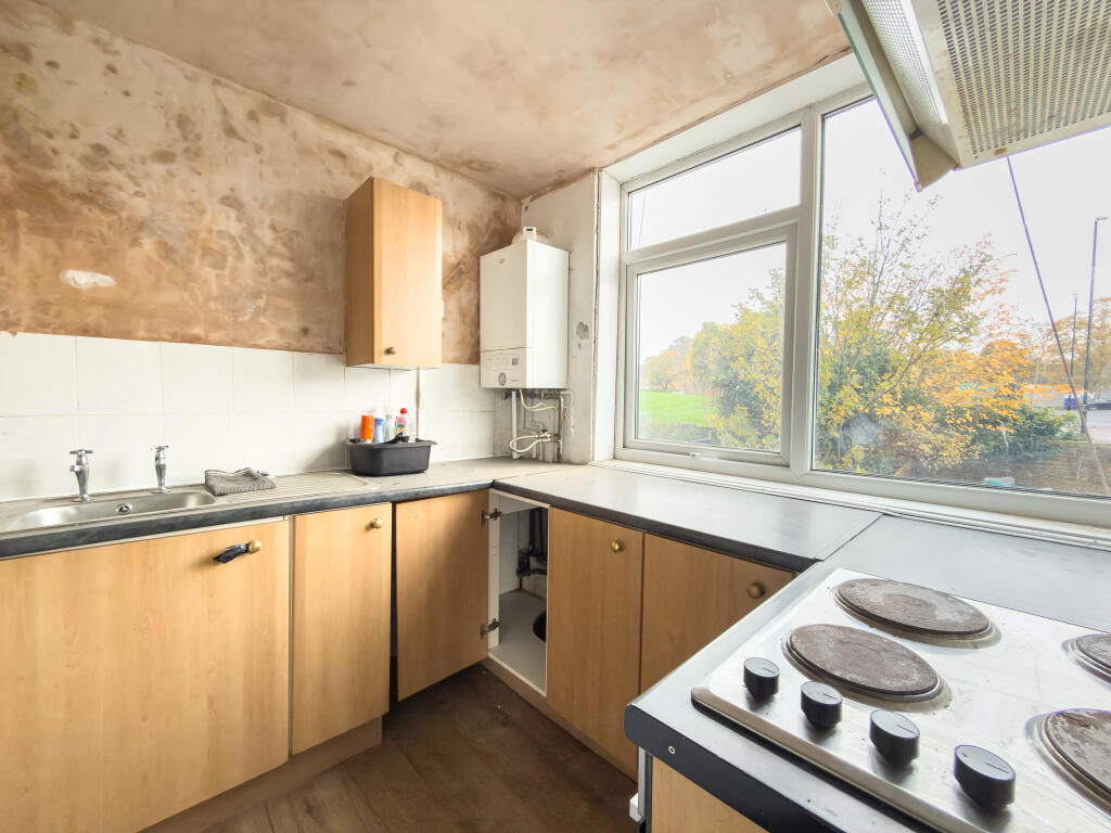 IMG 7132 T202511051328.jpg