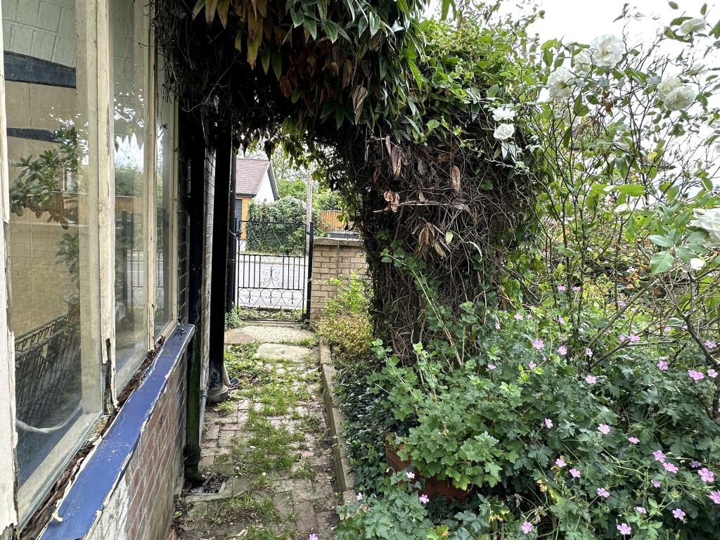 Garden 2.JPG
