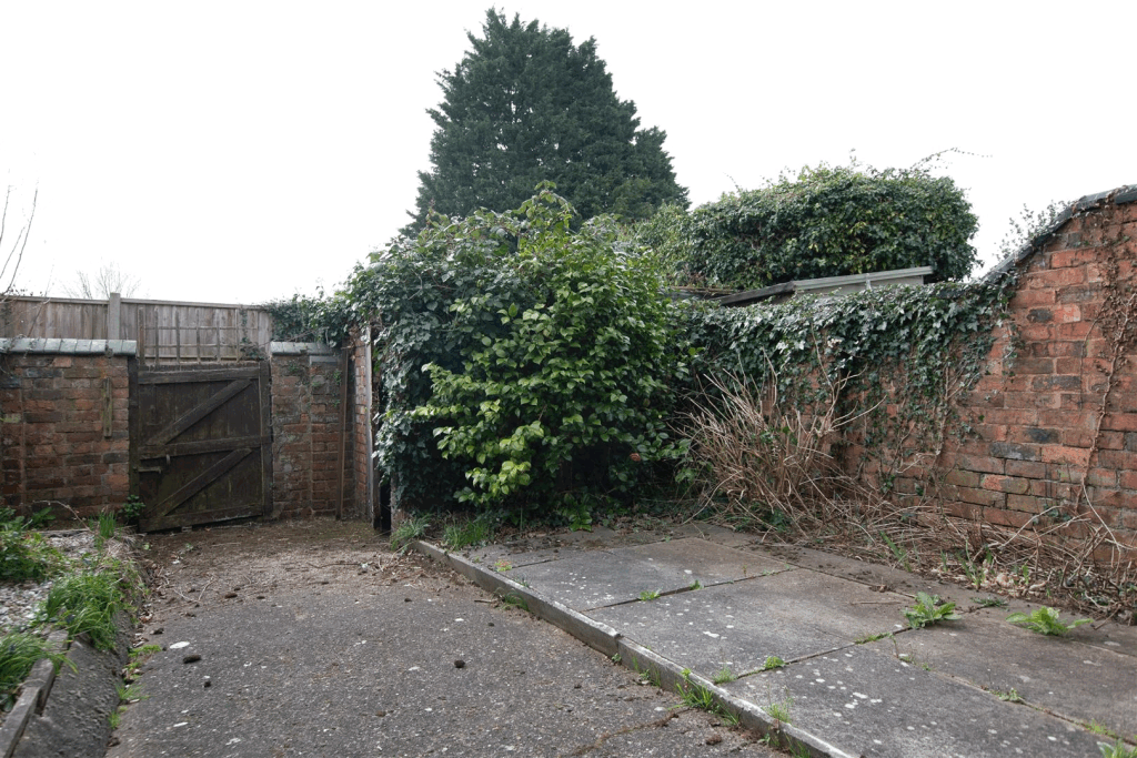 DSC_7094.gif