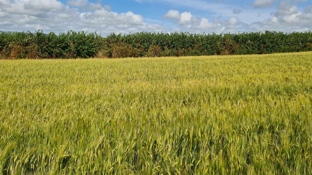 2023-07-13 15.58.53.jpg