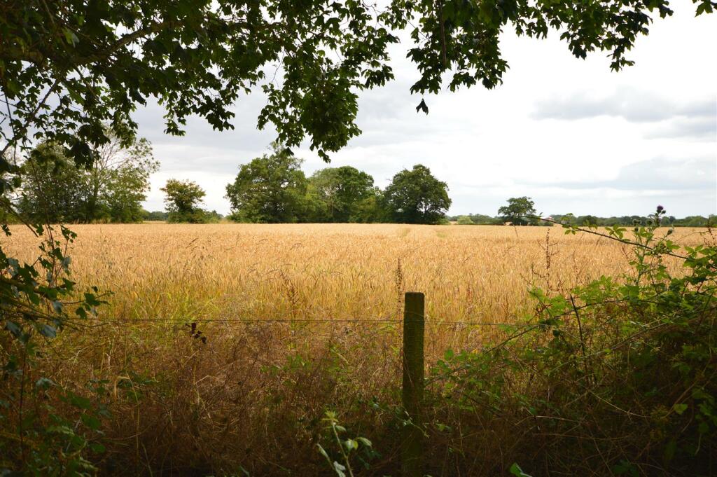 DSC_0026.JPG