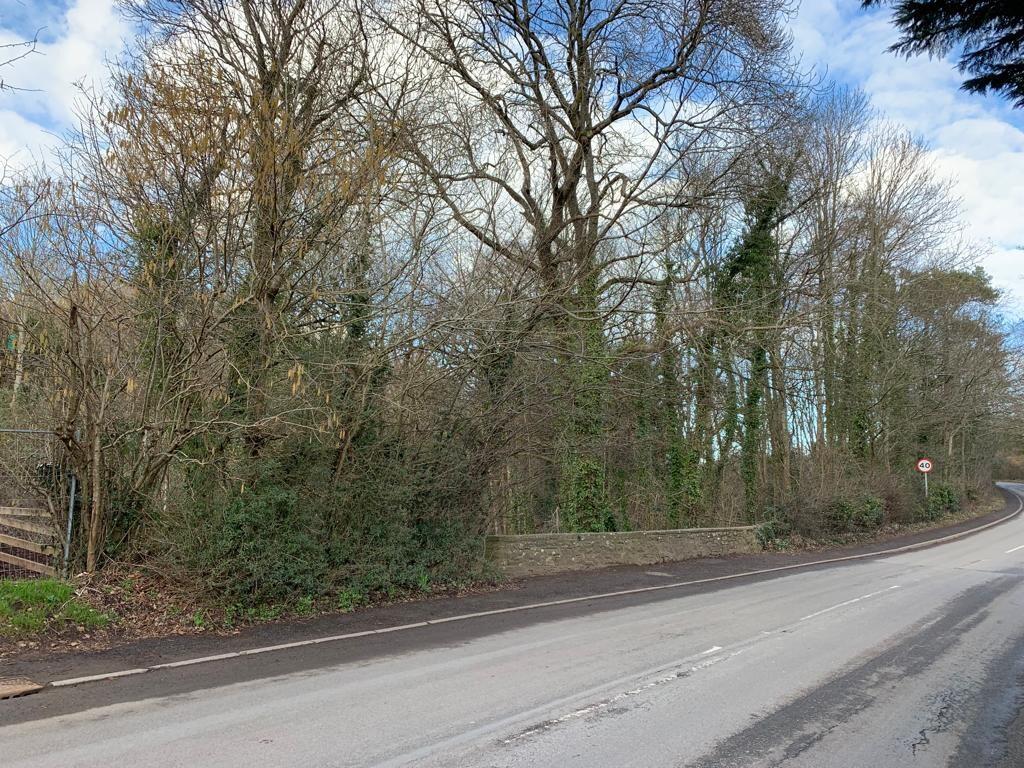 Board Pic T202303071558.jpg