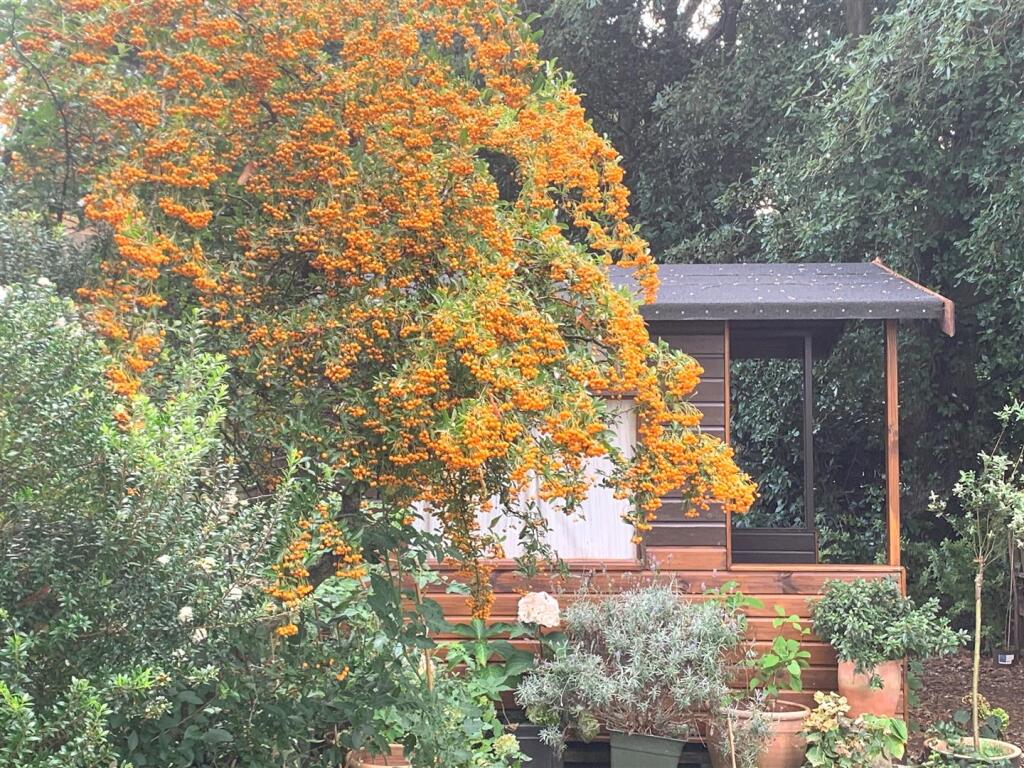 Summerhouse