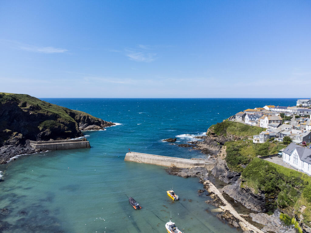 67f3c01c8c894_Jackdaws-12