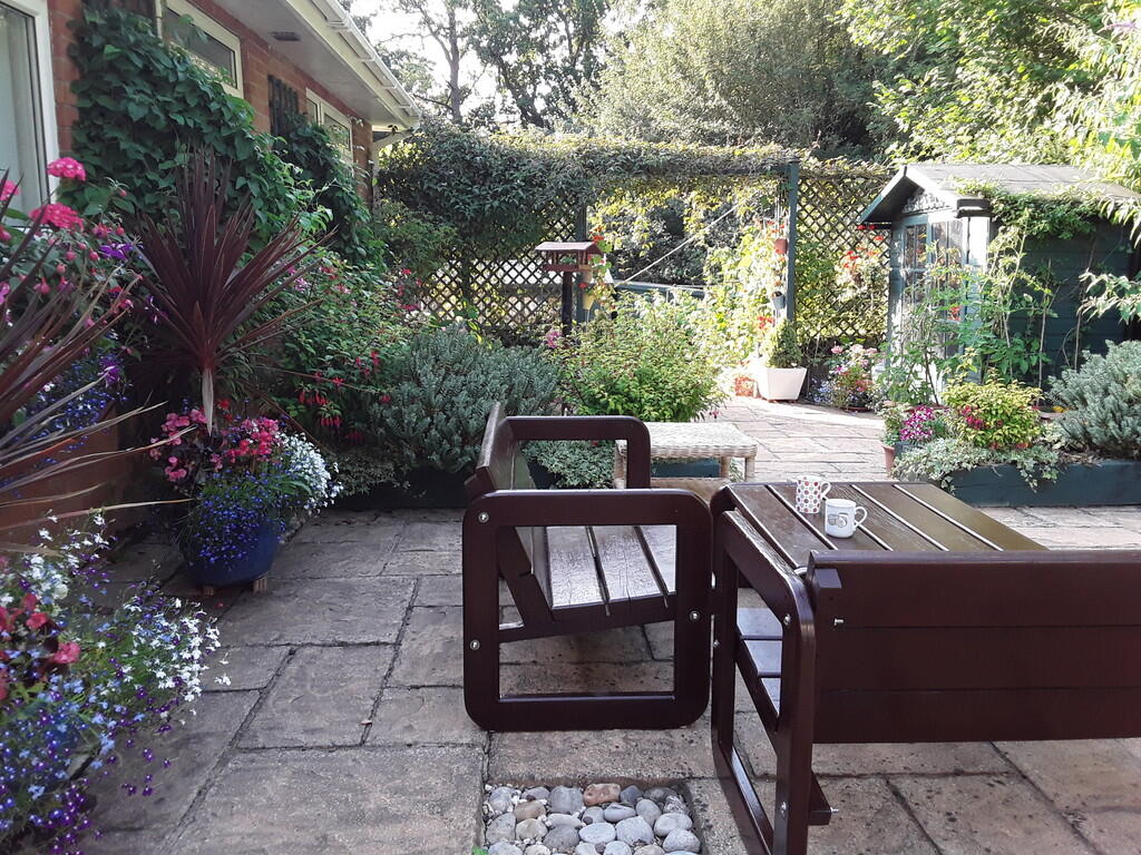 garden shot sprin...