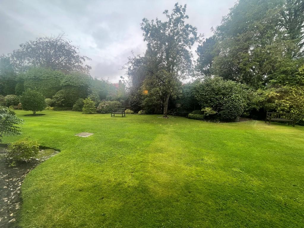 Communal Garden