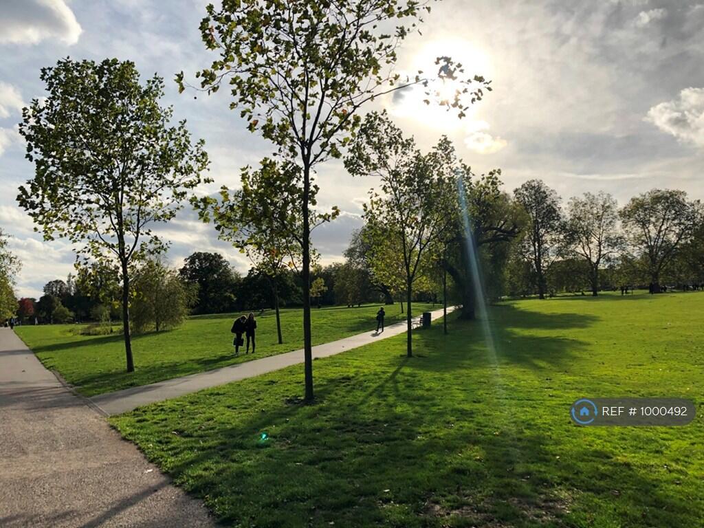 Ladywell Fields