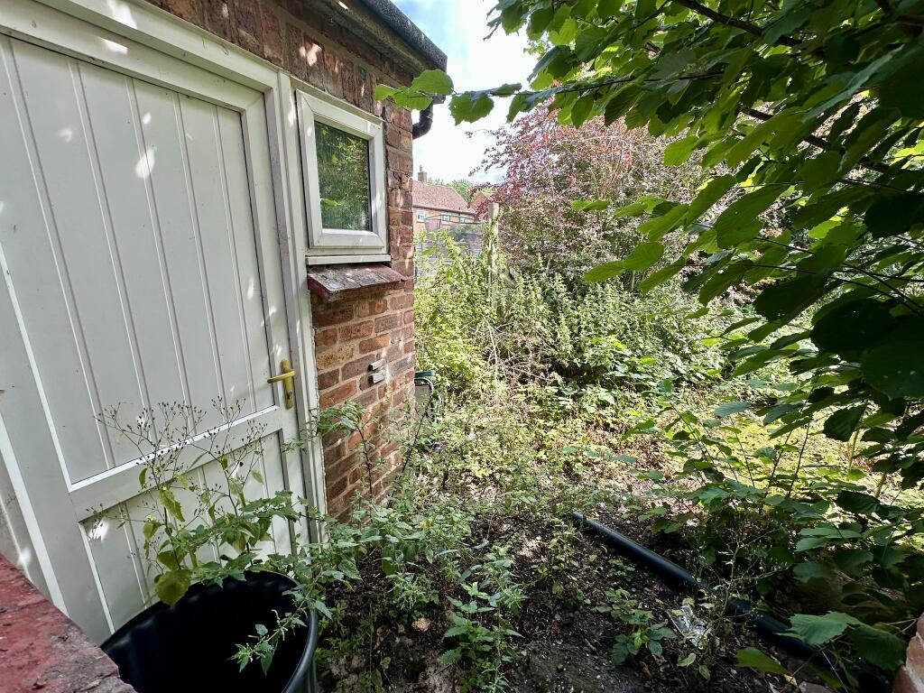 IMG 3083 T202507301744.jpeg